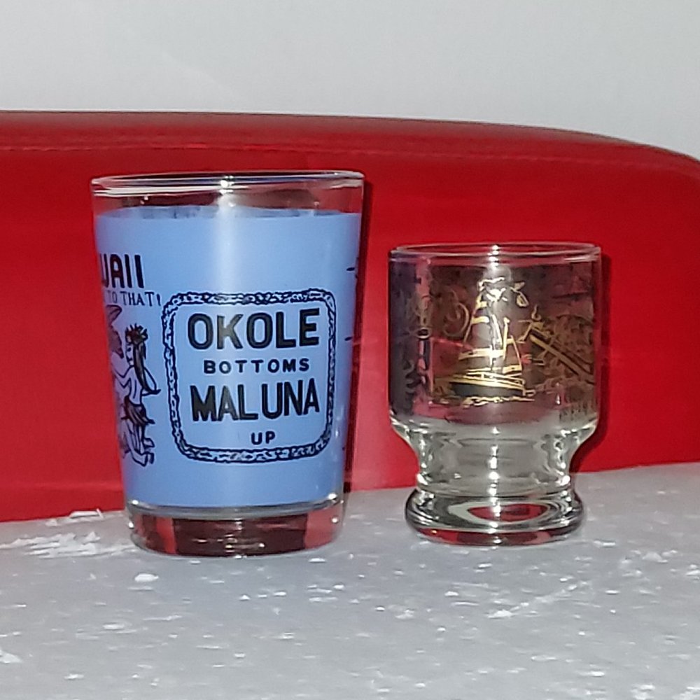 Hawaii shot glass set 2 for one price